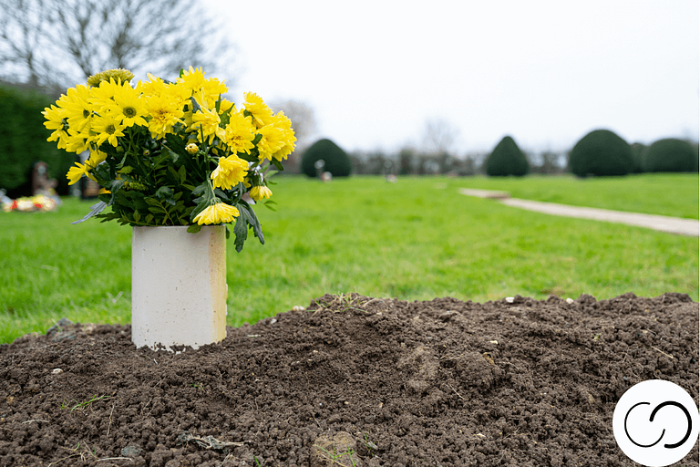 How much does a burial plot cost